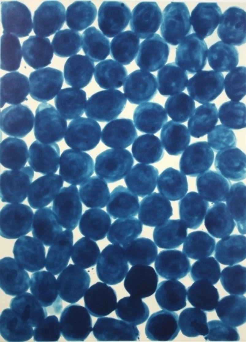 Rearrangement AP 1999 Limited Edition Print by Ross Bleckner Rearrangement AP 1999 Limited Edition Print by Ross Bleckner
