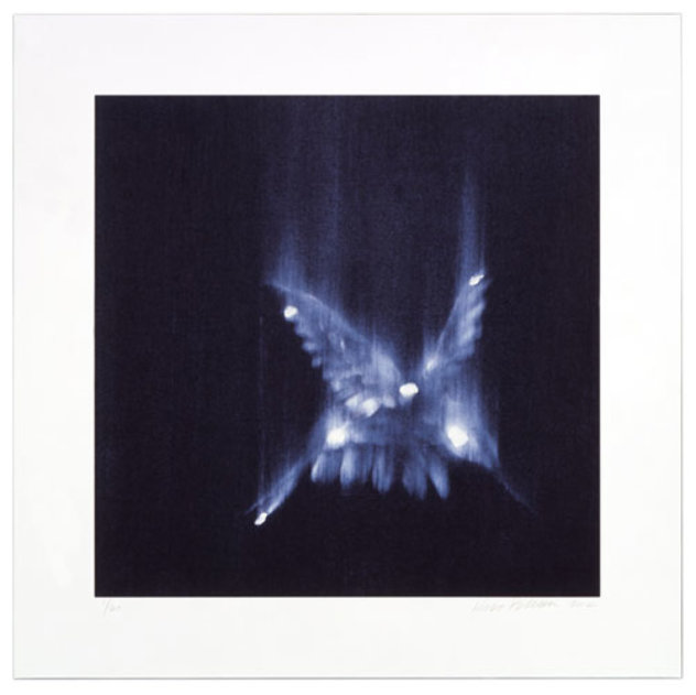 Falling Birds, 3 different images Limited Edition Print by Ross Bleckner