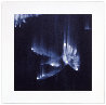Falling Birds, 3 different images Limited Edition Print by Ross Bleckner - 1