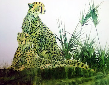 Wild Cheetahs AP Limited Edition Print - Andrew Bone Wild Cheetahs AP Limited Edition Print - Andrew Bone