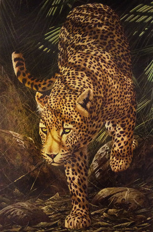 Evening Prowl 2006 Limited Edition Print - Andrew Bone