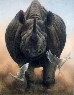 Coming Through 2012 Limited Edition Print - Andrew Bone