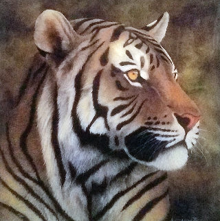 Tiger Portrait 2012 Limited Edition Print - Andrew Bone
