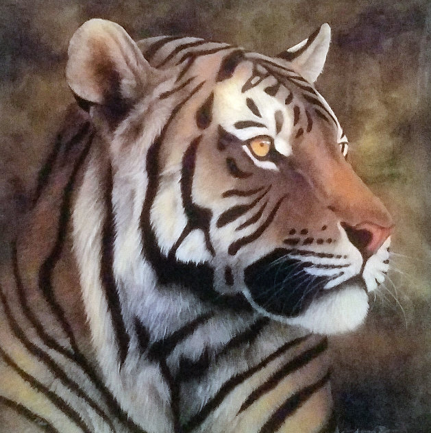 Tiger Portrait 2012 Limited Edition Print by Andrew Bone
