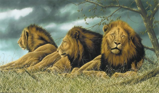 Triple Trouble 2012 Limited Edition Print by Andrew Bone
