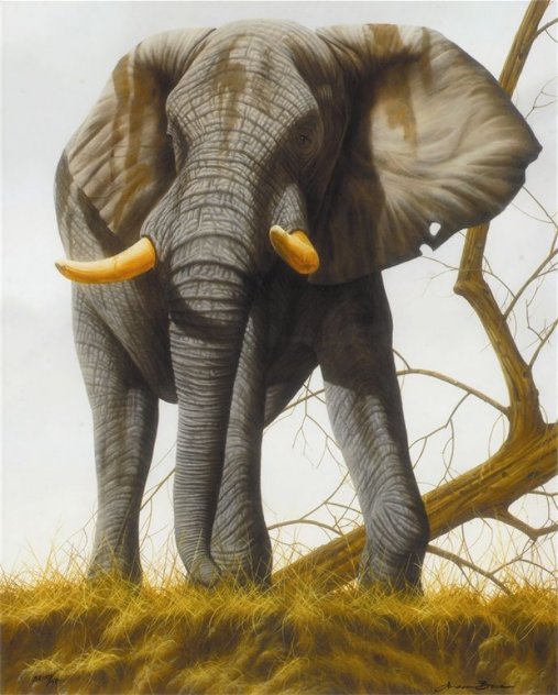 Overseer 2012 Limited Edition Print by Andrew Bone