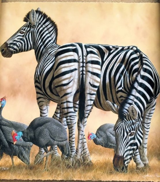 Spots And Stripes 2014 Limited Edition Print by Andrew Bone