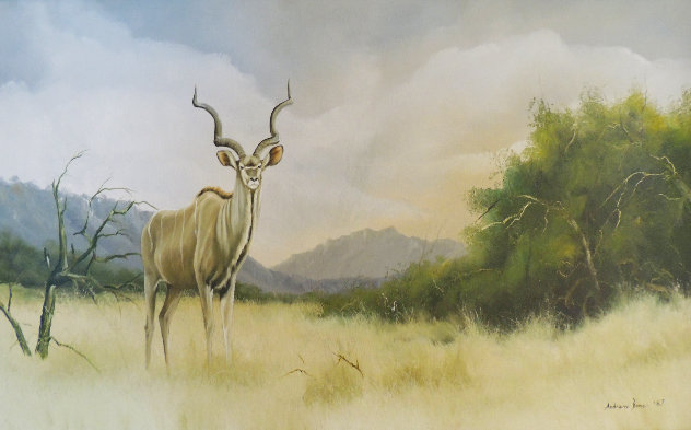 Untitled (Bull)  1987 22x36 - Africa Original Painting by Andrew Bone