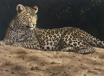 On the Sand Bank 2014 Limited Edition Print - Andrew Bone On the Sand Bank 2014 Limited Edition Print - Andrew Bone