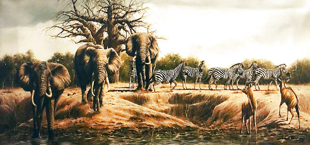 Kaminga Spring PP - Huge - Africa Limited Edition Print by Andrew Bone