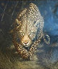 African Mystique 2011 66x55 Huge - Mural Size Original Painting by Andrew Bone - 0