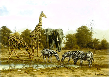 Receding Waters EA 2012 Limited Edition Print - Andrew Bone Receding Waters EA 2012 Limited Edition Print - Andrew Bone