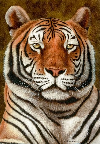 Pride of India 2018 Limited Edition Print - Andrew Bone