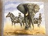 Ghost of Etosha EA 2012 - Namibia Limited Edition Print by Andrew Bone - 1