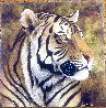 Tiger Portrait AP 2012 Limited Edition Print by Andrew Bone - 1