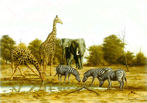 Receding Waters HC 2012 - Africa Limited Edition Print - Andrew Bone