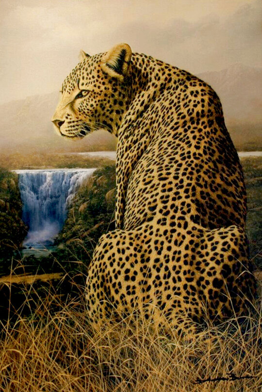 Andrew Bone African, Art For Sale, Wanted
