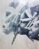Watusi Heads Drawing 1961 14x14 Drawing by Charles Ray Bragg - 8