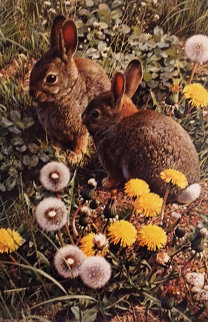 Colorful Playground - Cottontails 1986 Limited Edition Print - Carl Brenders