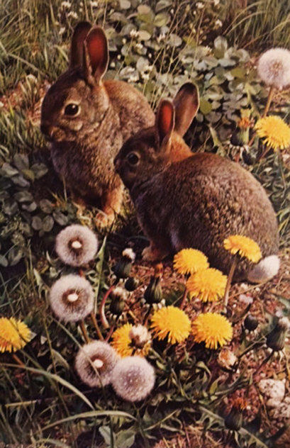 Colorful Playground - Cottontails 1986 Limited Edition Print by Carl Brenders