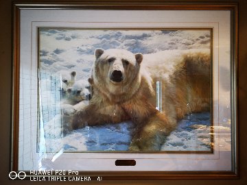 Mother of Pearl 1993 Limited Edition Print - Carl Brenders Mother of Pearl 1993 Limited Edition Print - Carl Brenders