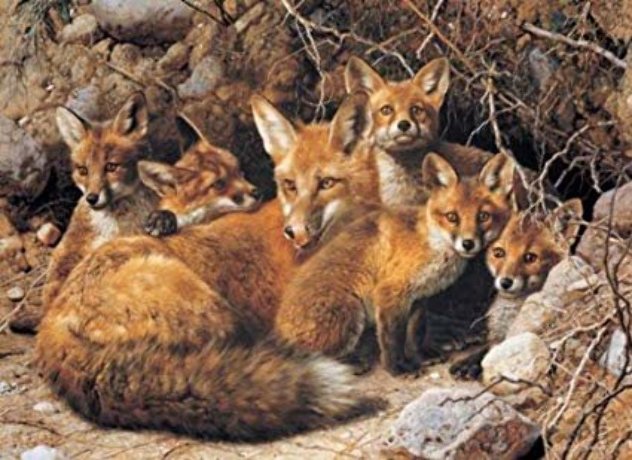 Full House Fox Family 1989 Limited Edition Print by Carl Brenders