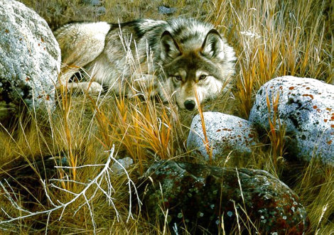 One-to-One (Grey Wolf) 1991 Limited Edition Print - Carl Brenders