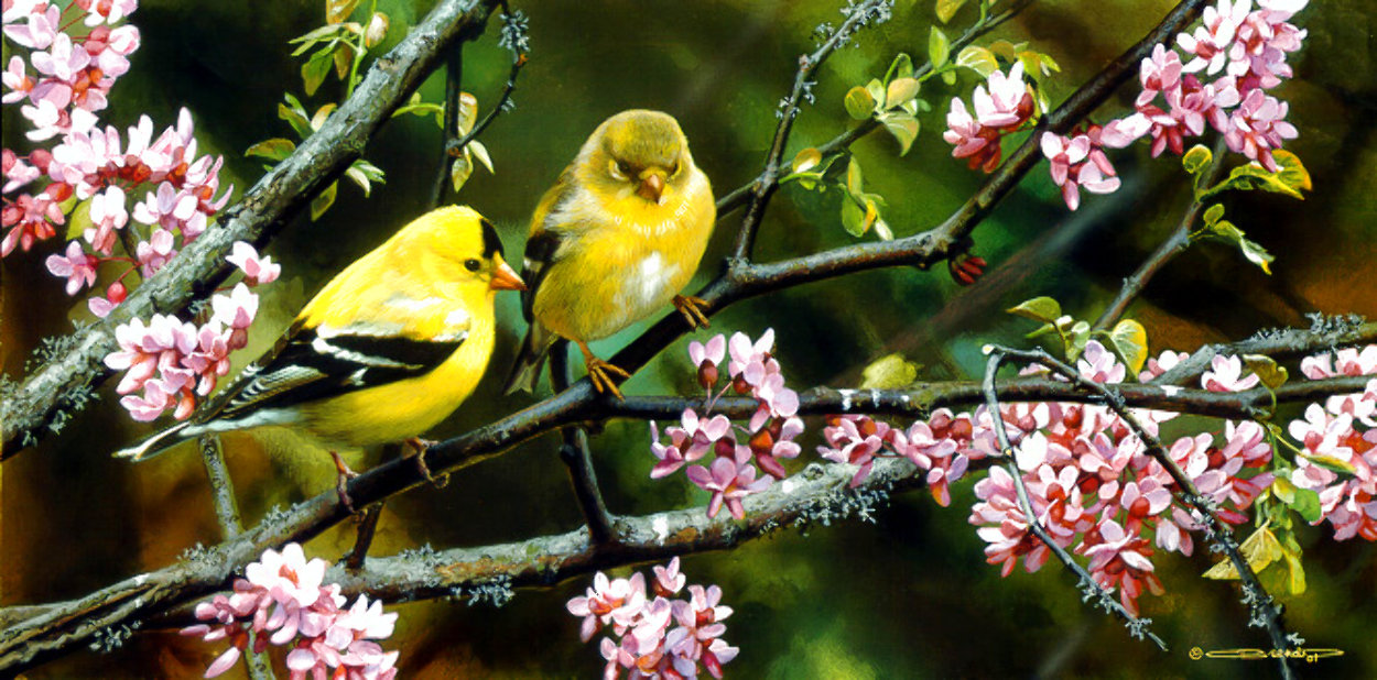 Carl Brenders , painting, Gleam of Gold – Gold Finches by Carl Brenders