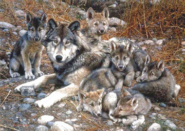 Den Mother Wolf Family Limited Edition Print - Carl Brenders