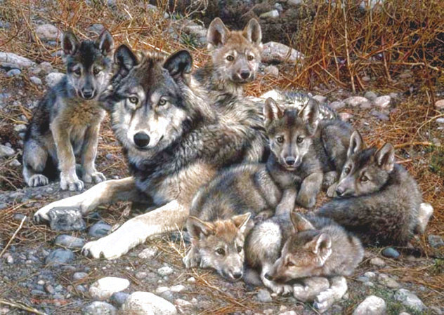 Den Mother Wolf Family - Huge Limited Edition Print by Carl Brenders