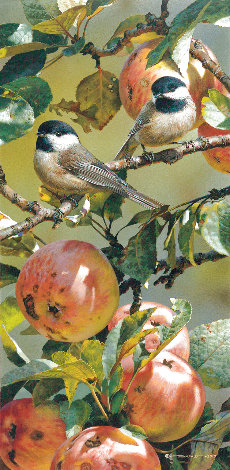 Chickadees and Apple Tree PP Limited Edition Print - Carl Brenders