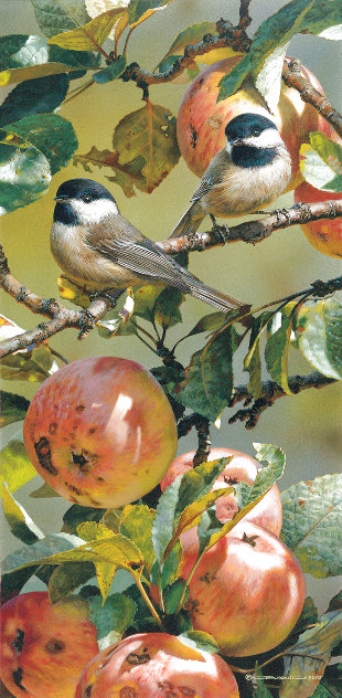Chickadees and Apple Tree PP Limited Edition Print by Carl Brenders