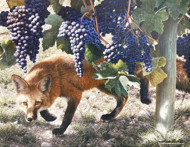 Between the Vines: Red Fox Limited Edition Print by Carl Brenders