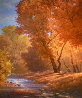 Autumn Blaze 1994 31x35 Original Painting by Wendell Brown - 0