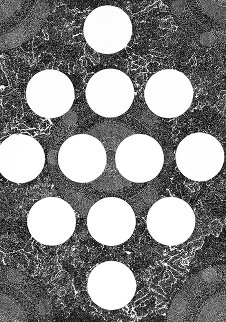 Twelve Moons 1970 Limited Edition Print - Bruce Conner Twelve Moons 1970 Limited Edition Print - Bruce Conner