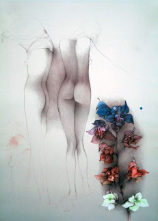 Orchideen Fuer John 40x29 Super Huge Limited Edition Print - Bruno Bruni Orchideen Fuer John 40x29 Super Huge Limited Edition Print - Bruno Bruni