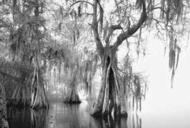 Lake Istokpoga #1 Unique 1989 - Florida Panorama by Clyde Butcher