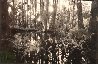 Loxahatchee #5 1991 Florida Panorama by Clyde Butcher - 0 Loxahatchee #5 1991 Florida Panorama by Clyde Butcher - 0