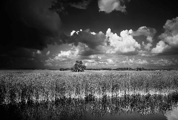 Ochopee Western Everglades Panorama - Clyde Butcher Ochopee Western Everglades Panorama - Clyde Butcher