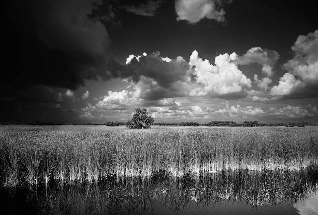 Ochopee Western Everglades, Florida Panorama by Clyde Butcher