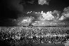 Ochopee Western Everglades Panorama by Clyde Butcher - 0 Ochopee Western Everglades Panorama by Clyde Butcher - 0