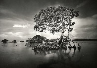 Gaskin Bay 1990 Panorama by Clyde Butcher - 0 Gaskin Bay 1990 Panorama by Clyde Butcher - 0