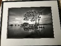 Gaskin Bay 1990 Panorama by Clyde Butcher - 1 Gaskin Bay 1990 Panorama by Clyde Butcher - 1