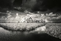 Seven Cabbage Cut Panorama by Clyde Butcher - 0 Seven Cabbage Cut Panorama by Clyde Butcher - 0