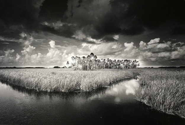 Clyde Butcher Photograph Of Watery Florida Landscape By Clyde Butcher