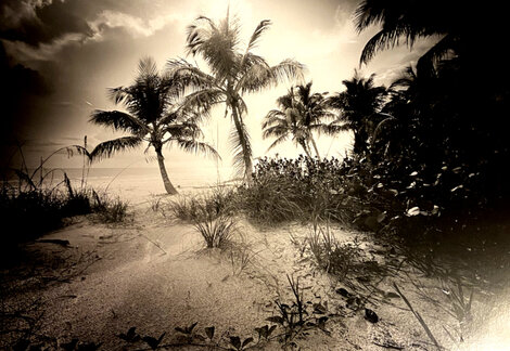 Estero Island 1985 - Florida Panorama - Clyde Butcher