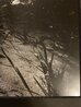 Estero Island 1985 - Florida Panorama by Clyde Butcher - 3