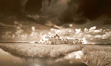 Seven Cabbage Cut Panorama - Clyde Butcher Seven Cabbage Cut Panorama - Clyde Butcher