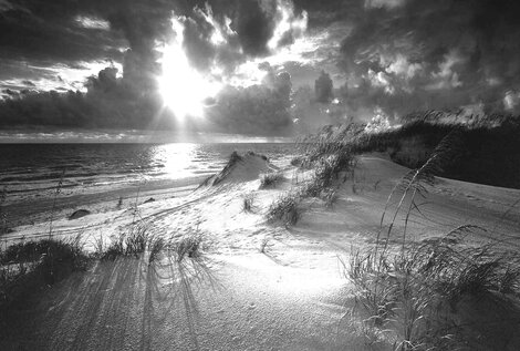 Dunes 1983 - Florida 33x27 Panorama - Clyde Butcher