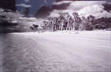 Cayo Costa #1 Florida Panorama - Clyde Butcher Cayo Costa #1 Florida Panorama - Clyde Butcher